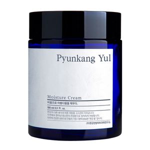 Creme Hidratante Facial Pyunkang Yul – Moisture Cream